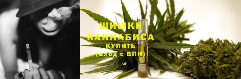 как найти закладки  Орехово-Зуево  МАРИХУАНА Bruce Banner 